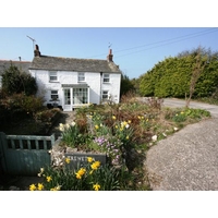 Trewetha Cottage